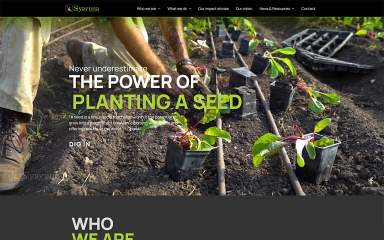 website design for siyavuna